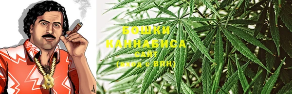 шишки Абдулино
