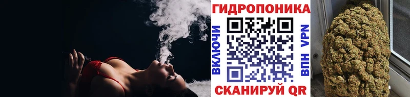 Бошки марихуана семена  omg tor  Кедровый  что такое  